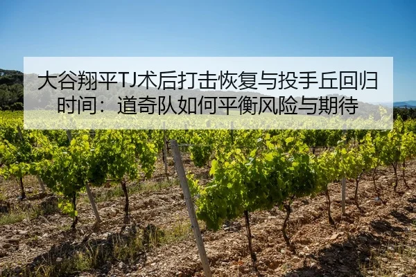 大谷翔平TJ术后打击恢复与投手丘回归时间：道奇队如何平衡风险与期待