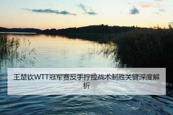 王楚钦WTT冠军赛反手拧拉战术制胜关键深度解析