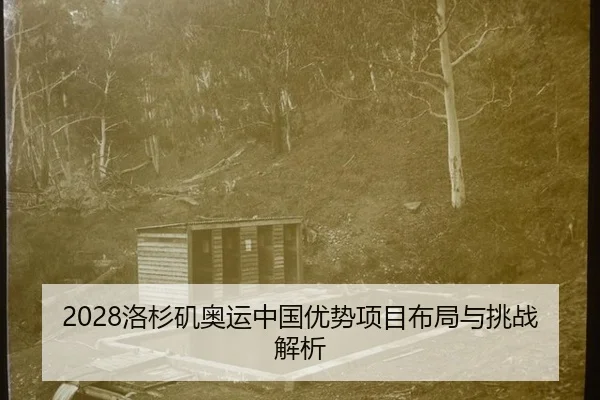 luo-shan-ji-ao-yun-zhong-guo-you-shi-xiang-mu-bu-ju-yu-tiao-zhan-jie-xi-3-287.jpg